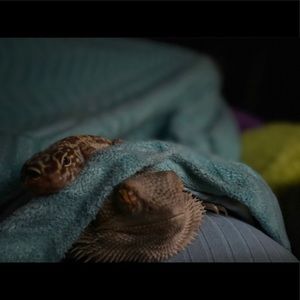 Meet your Posher, Kennedy